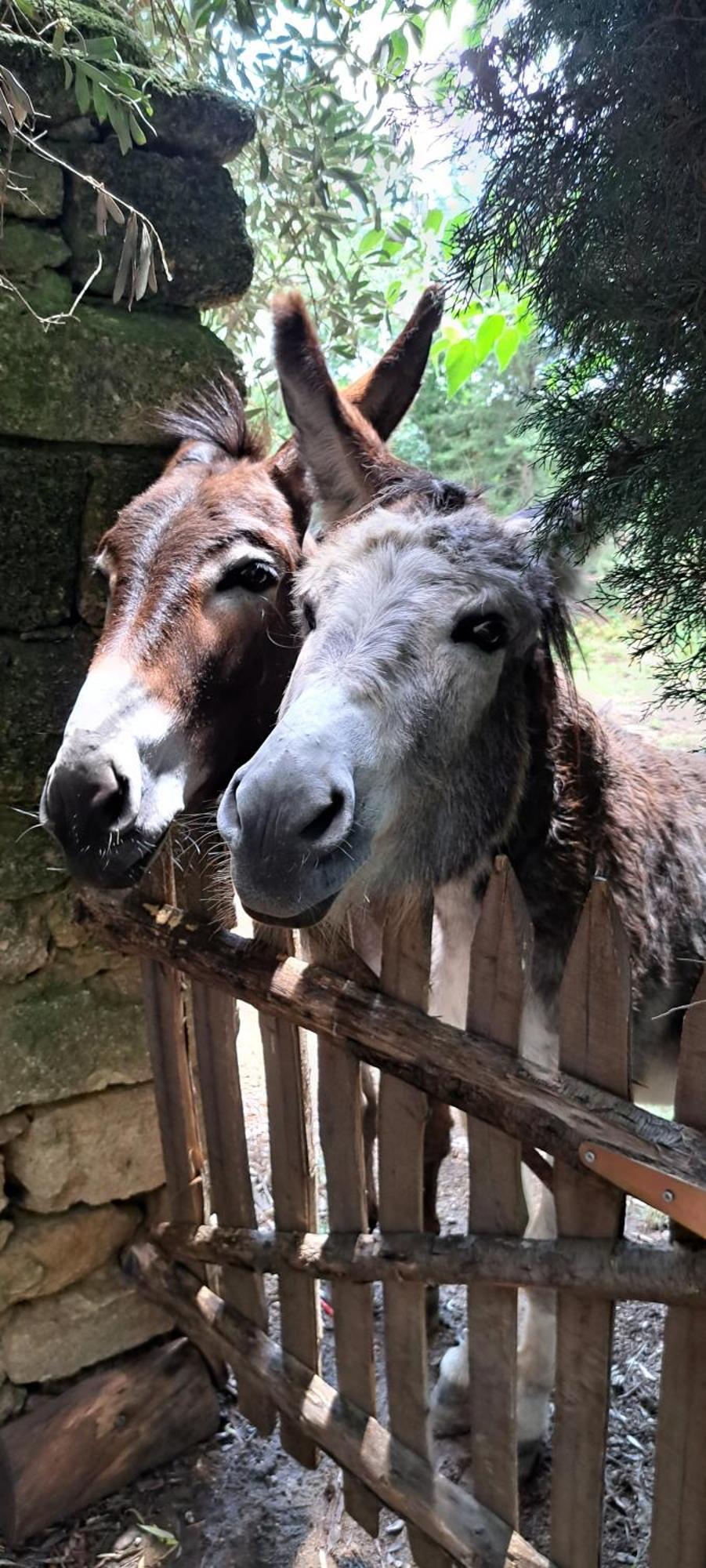 ユゼ ル マス ドゥ ラック Bed & Breakfast エクステリア 写真