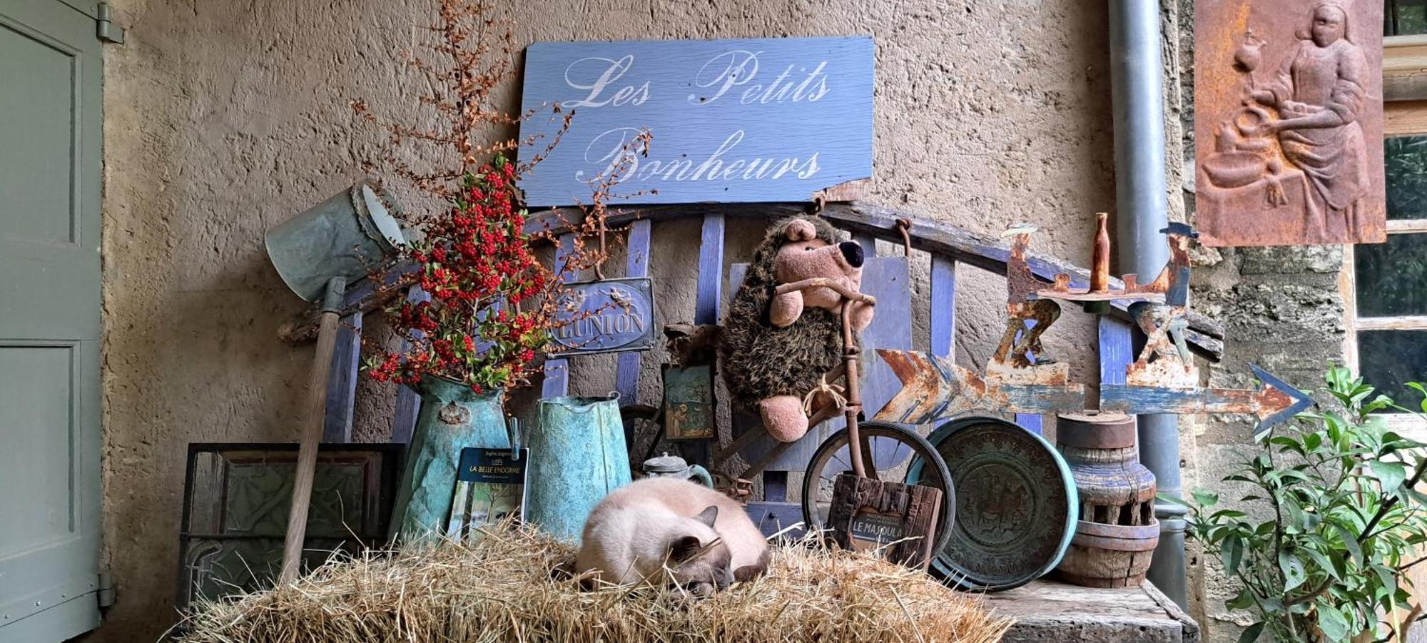 ユゼ ル マス ドゥ ラック Bed & Breakfast エクステリア 写真